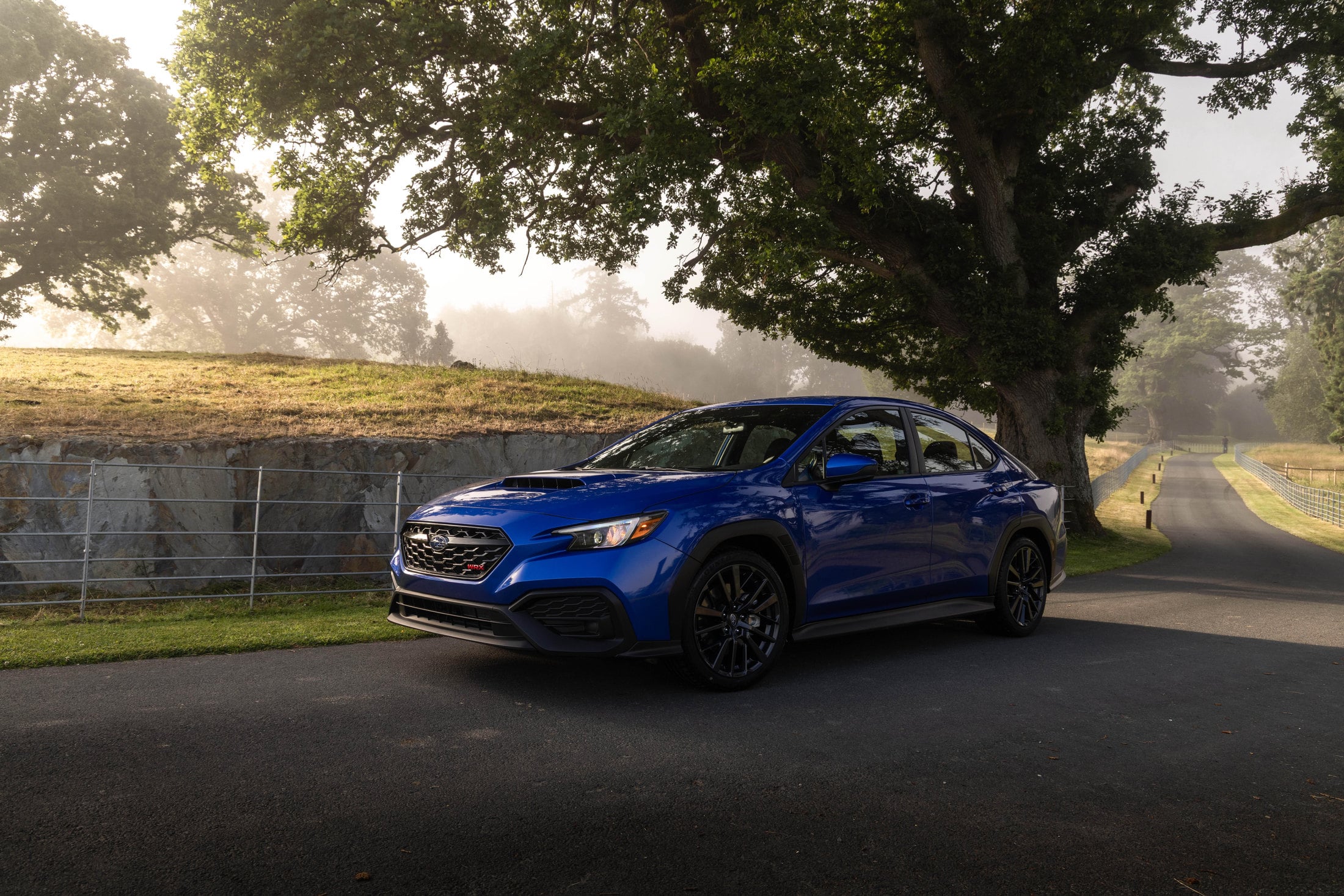 2026 Subaru WRX in World Rally Blue on a misty road
